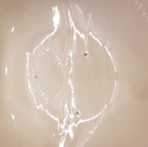 TG Green Ltd Gripstand Yellow Ware Large Mixing Bowl 6's - Picture 4 of 14